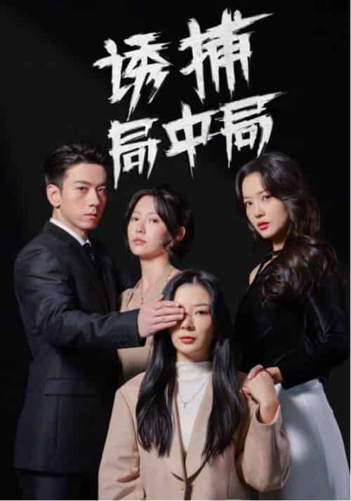 诱捕局中局＆夜色暗涌（42集全）孙飞翔＆林初-初遇资源网