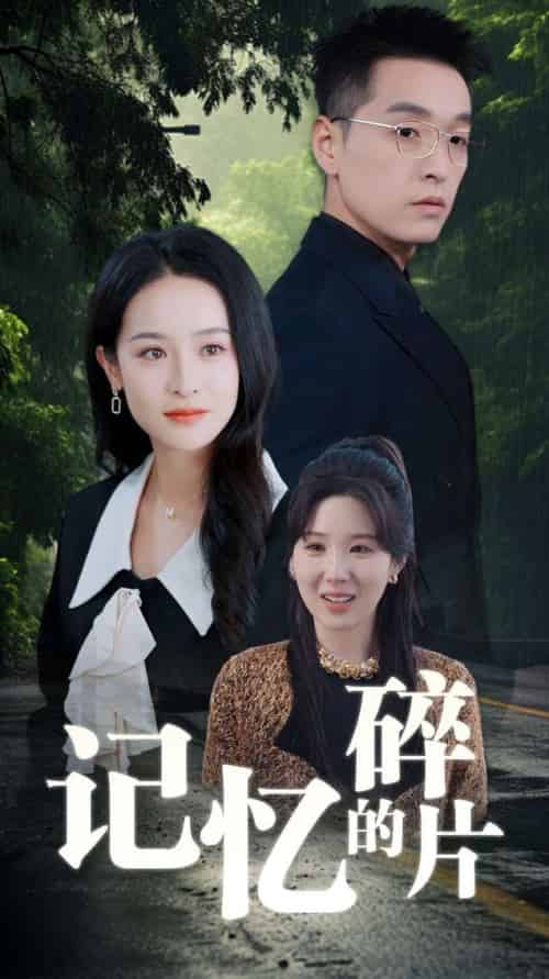 记忆的碎片（50集全）赵龙＆王蔼玲-初遇资源网