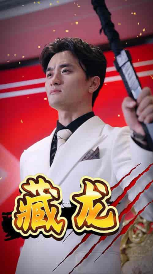 藏龙(30集)-初遇资源网