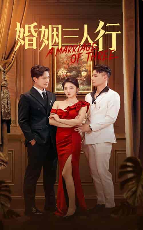 婚姻三人行(31集全)-初遇资源网