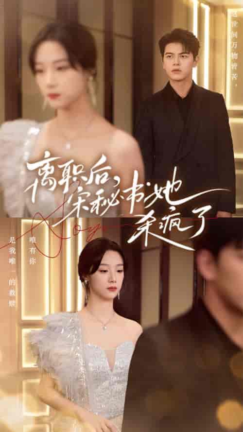 离职后，宋秘书她杀疯了（71集全）佐铭-初遇资源网