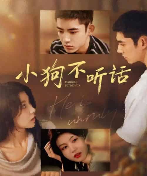 小狗不听话(70集全)马浩东&何田田-初遇资源网