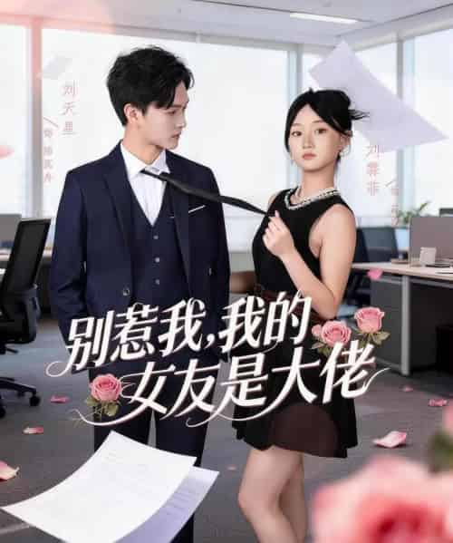 别惹我,我的女友是大佬(49集全)刘天星&刘霖菲-初遇资源网