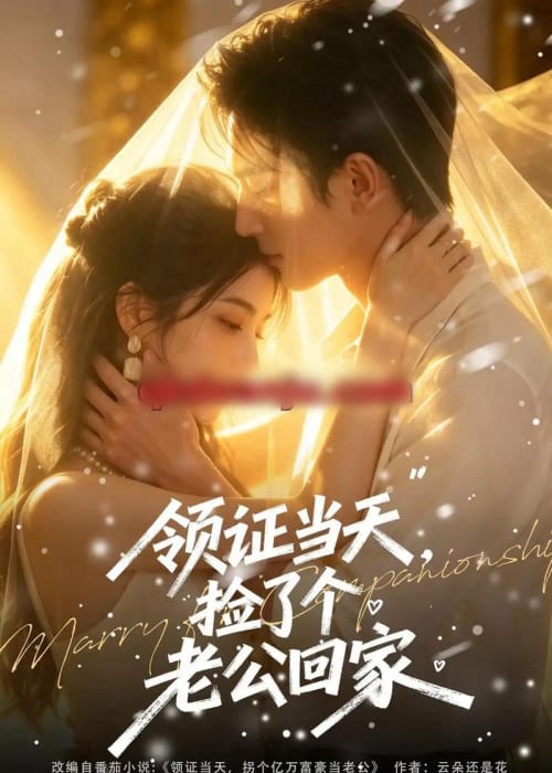 领证当天,捡了个老公回家(80集全)AI短剧-初遇资源网
