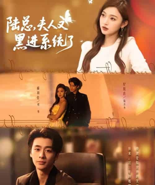 陆总夫人又黑进系统了（81集）纪俊良＆戚羽佳-初遇资源网