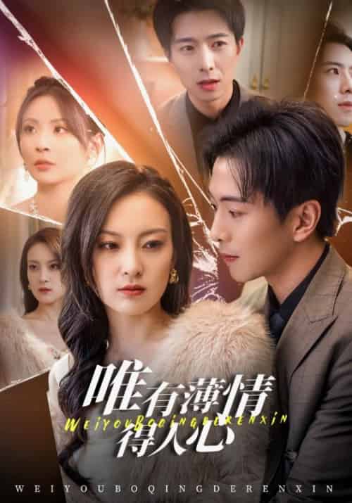 唯有薄情得人心（69集）伍怡-初遇资源网