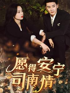 愿得安宁司南情（76集全）-初遇资源网