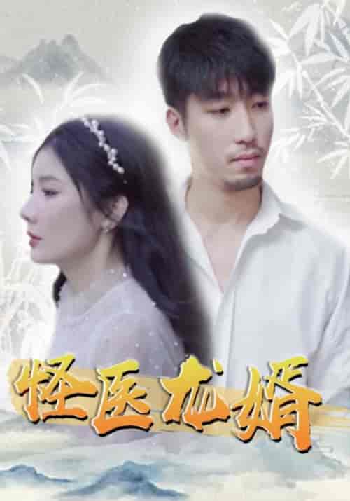 怪医龙婿（80集全）丁不二＆风听雪-初遇资源网