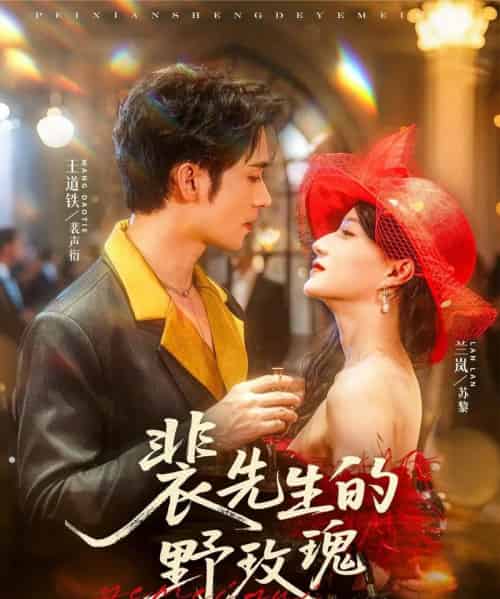 裴先生的野玫瑰（72集）兰岚＆王道铁-初遇资源网