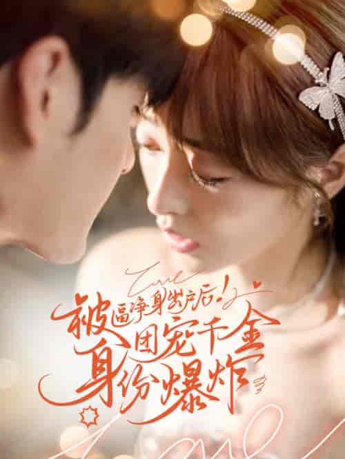 被逼净身出户后团宠千金身份爆炸（70集全）-初遇资源网