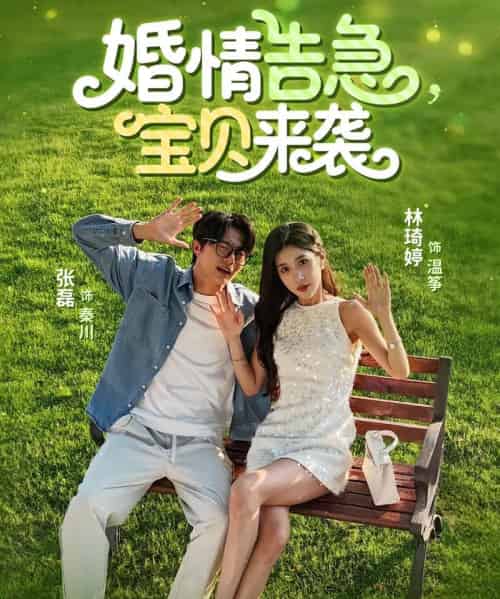 婚情告急宝贝来袭(77集)张磊&林琦婷-初遇资源网