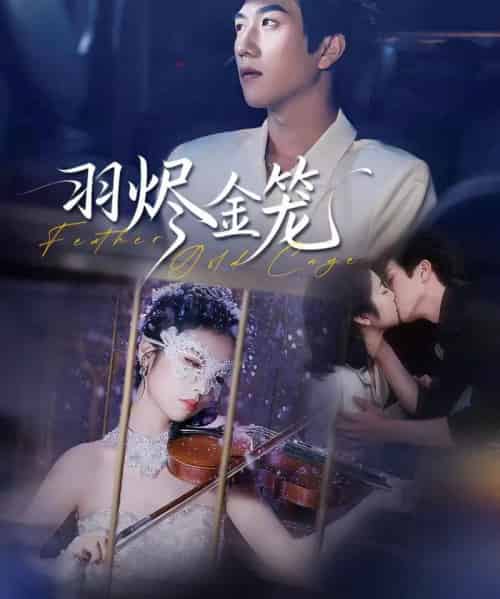 羽烬金笼（74集全）宋宇博＆肖诗雨-初遇资源网