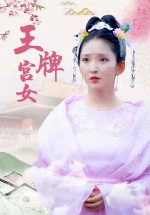 王牌宫女(16集全)果亲王&婉儿-初遇资源网