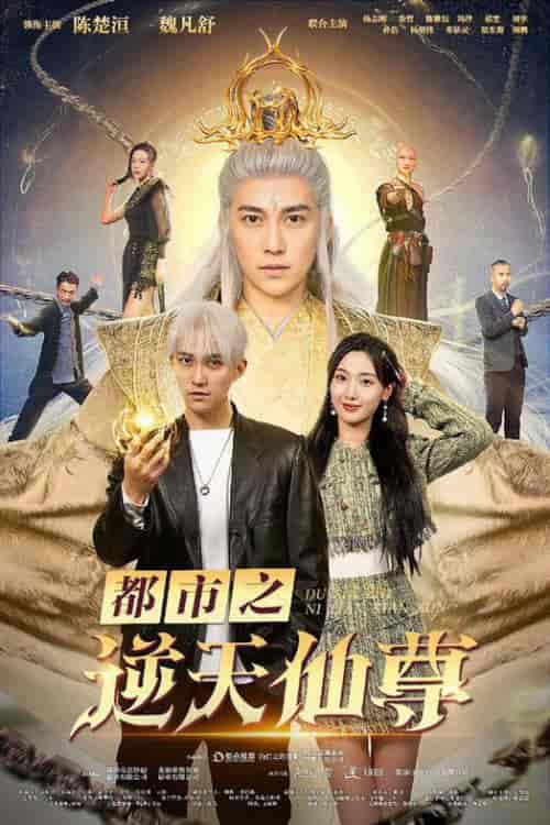 都市之逆天仙尊(78集全)-初遇资源网