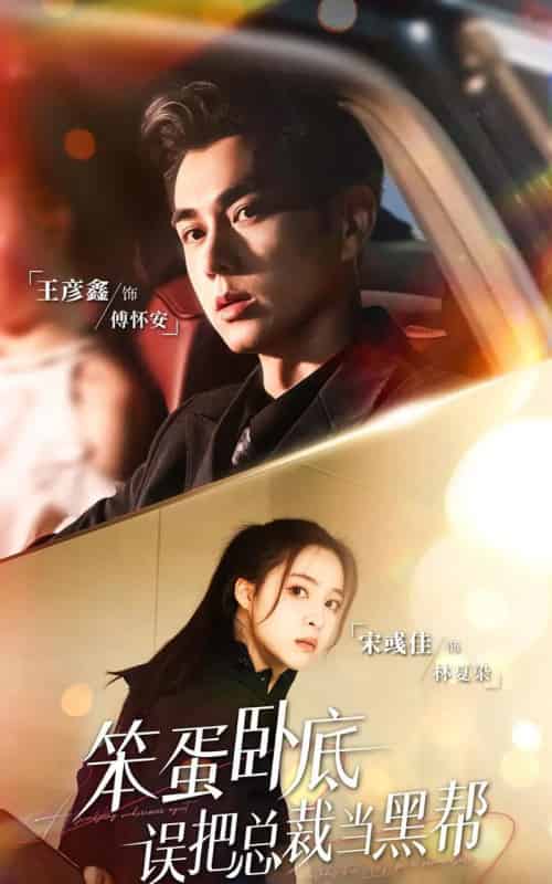 笨蛋卧底，误把总裁当黑帮（76集全）王彦鑫＆宋彧佳-初遇资源网