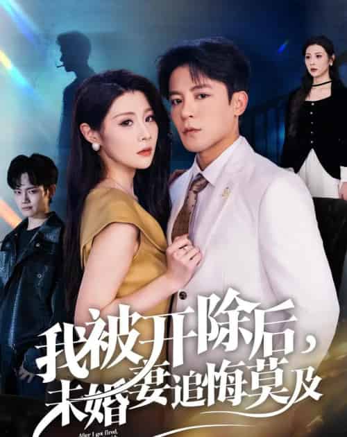 我被开除后未婚妻追悔莫及(63集全)刘源&丁敬一-初遇资源网