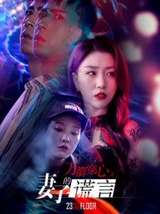 万箭穿心之妻子的谎言(30集全)-初遇资源网