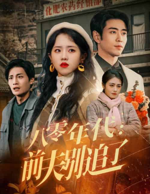 八零年代:前夫别追了(89集全)曹天恺&陈云汐-初遇资源网