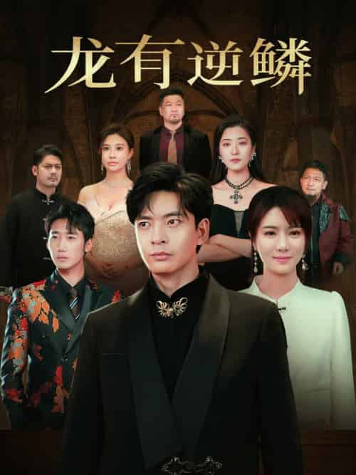 龙有逆鳞（65集全）何子杰＆辛宛柔-初遇资源网