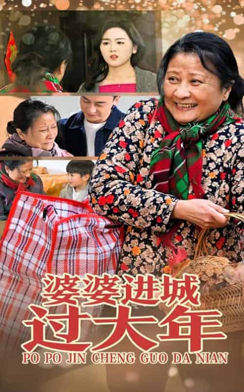 婆婆进城过大年（33集）-初遇资源网