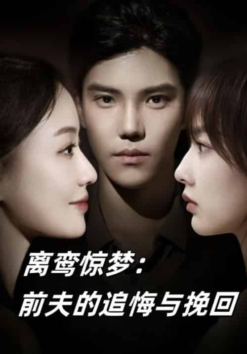 离鸾惊梦：前夫的追悔与挽回（83集全）穆天泽＆林若涵-初遇资源网