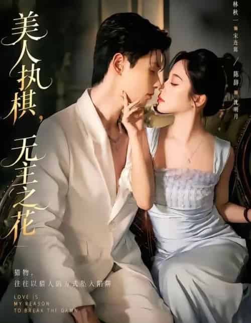美人执棋，无主之花（65集全）林秋一＆陈辞＆谭昊麒 - 夸克短剧
