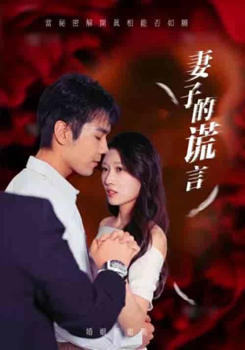 妻子的谎言（41集全）-初遇资源网