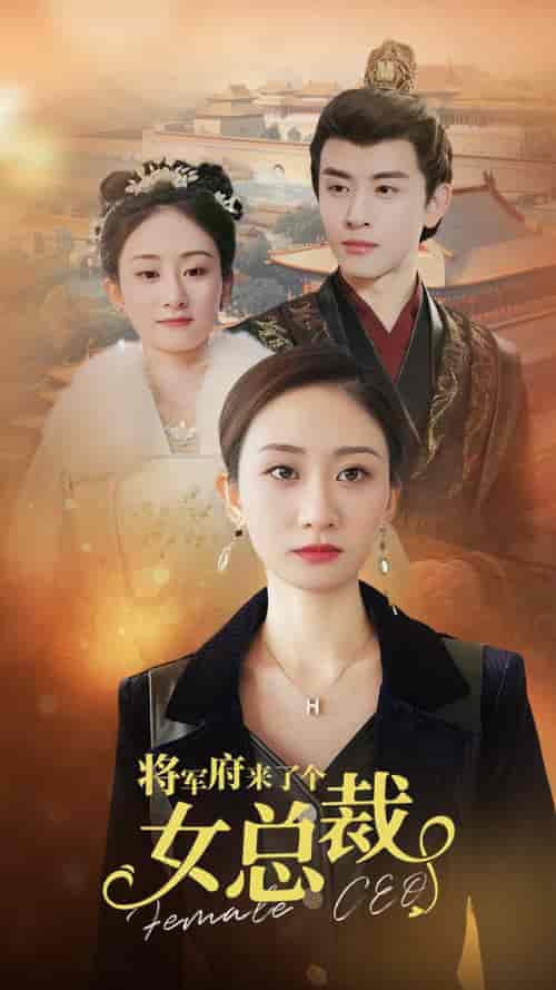 将军府来了个女总裁(88集)-初遇资源网