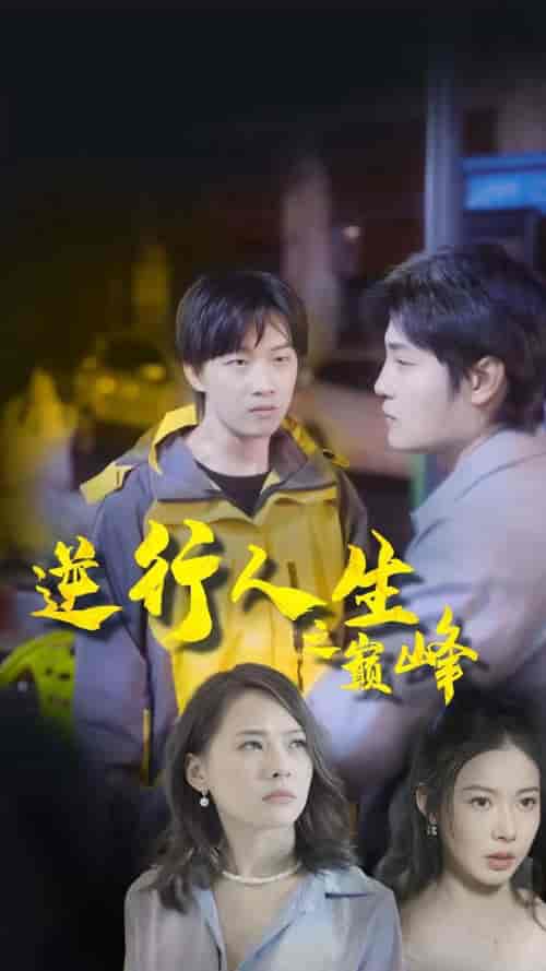 逆袭人生之巅峰（92集）-初遇资源网