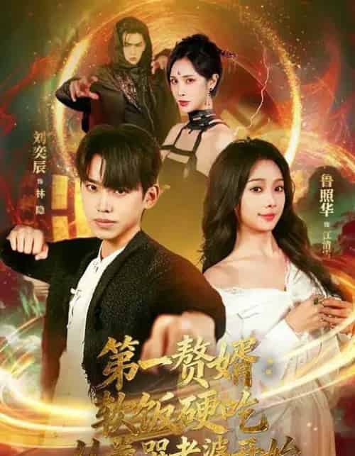 第一赘婿：软饭硬吃，从卷哭老婆开始＆第一赘婿软饭硬吃从卷哭老婆开始（69集全）刘奕辰＆鲁照华-初遇资源网