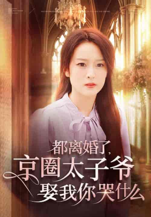 都离婚了，京圈太子爷娶我你哭什么（58集全）顾廷深＆沈心竹-初遇资源网