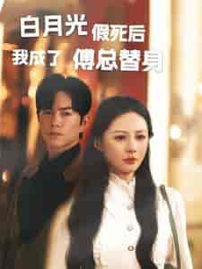 白月光假死后我成了傅总替身（60集）-初遇资源网