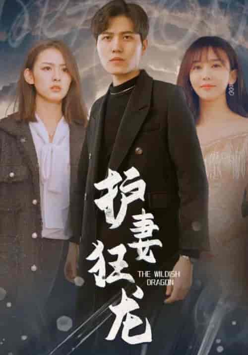 护妻狂龙(100集全)楚绝尘&沈云初-初遇资源网