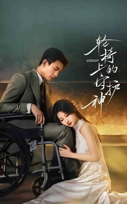 轮椅上的守护神（25集全）刘萧旭＆兰岚-初遇资源网