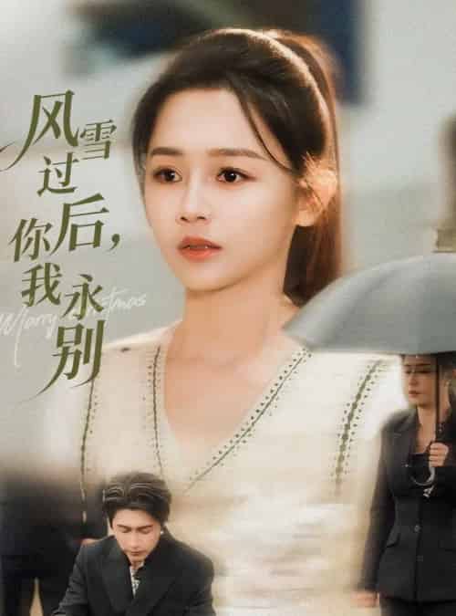 风雪过后你我永别（51集全）王禹润＆郑湘敏-初遇资源网