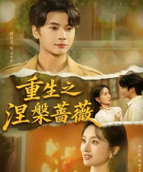 重生之涅槃蔷薇（80集全）赵坦又＆史小叶-初遇资源网