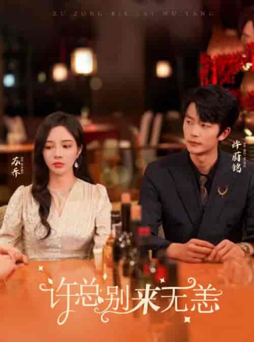 许总别来无恙(67集)-初遇资源网