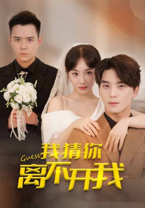 我猜你离不开我（39集）-初遇资源网