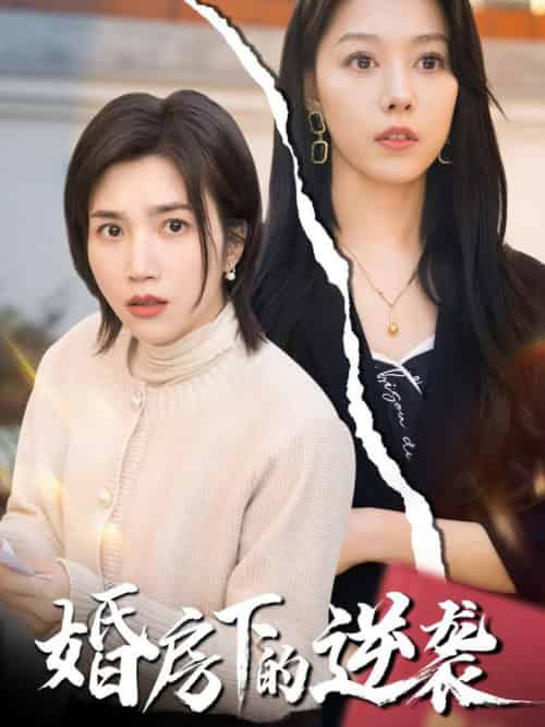 婚房下的逆袭(38集全)杨舒米&李金金-初遇资源网