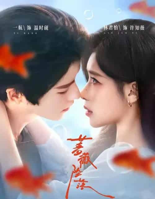 蔷薇坠落(94集全)一航&林君怡-初遇资源网