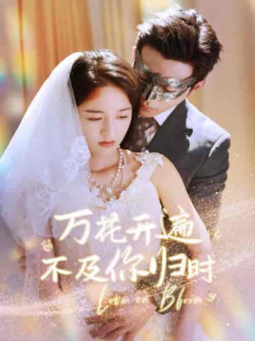 万花开遍不及你归时（64集）李可乐-初遇资源网