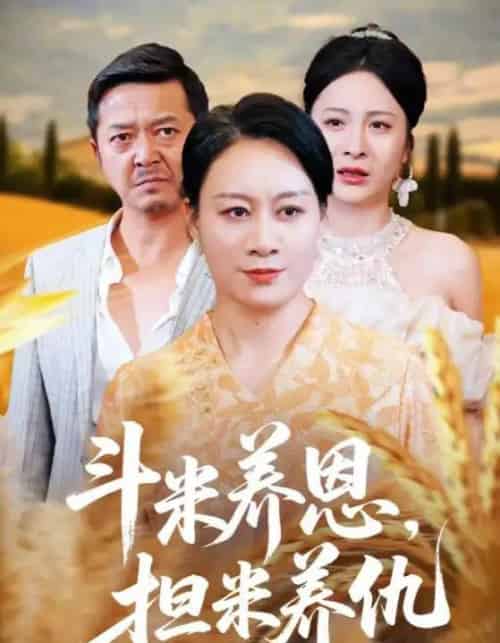 斗米养恩担米养仇（50集）-初遇资源网