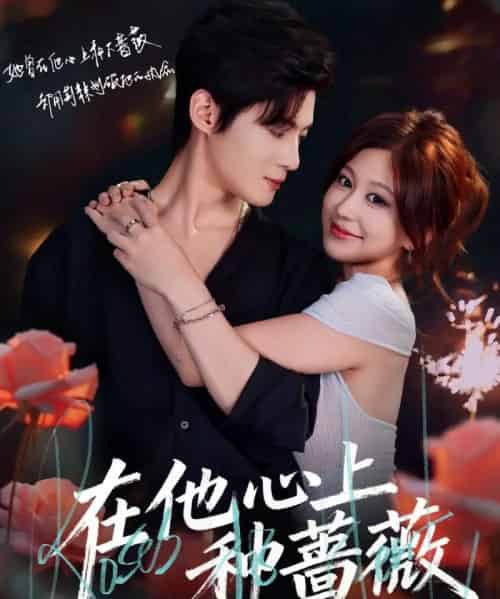 在他心上种蔷薇（81集全）谢鸿鑫＆柴慧欣-初遇资源网