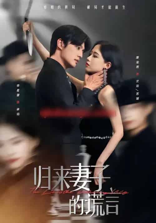 归来妻子的谎言(49集全)李星霖&康渝茜-初遇资源网