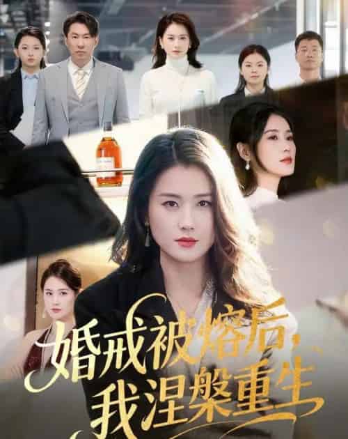 婚戒被熔后，我涅槃重生（61集全）周颖＆高骏-初遇资源网