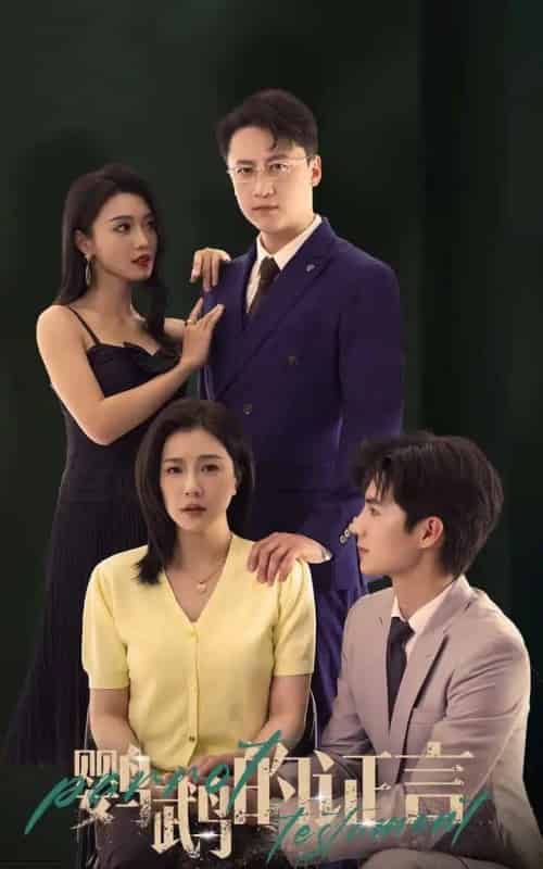 鹦鹉的证言（45集）刘辰锦＆章滢-初遇资源网