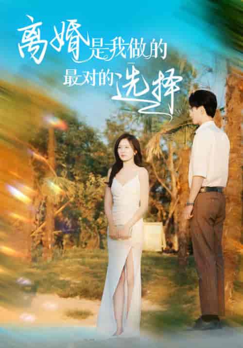 离婚是我做的最对的选择（48集全）萧逸尘＆林涵-初遇资源网