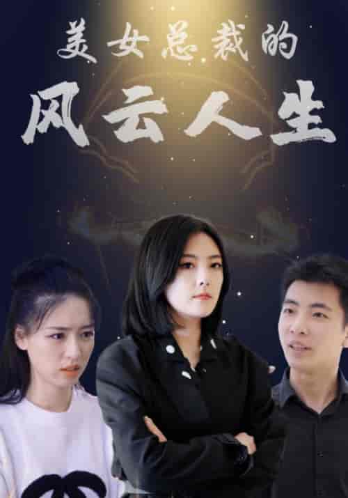 美女总裁的风云人生(99集全)赵文&顾倾城-初遇资源网