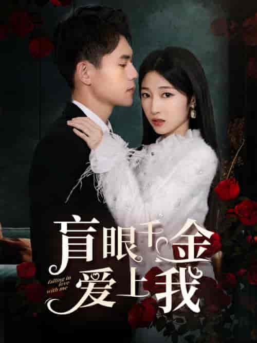 盲眼千金爱上我(75集)-初遇资源网