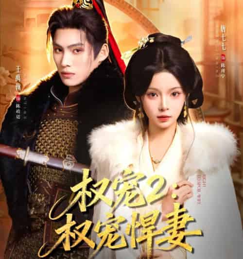 权宠2：权宠悍妻＆权宠2权宠悍妻（81集全）王禹翰＆唐七七-初遇资源网